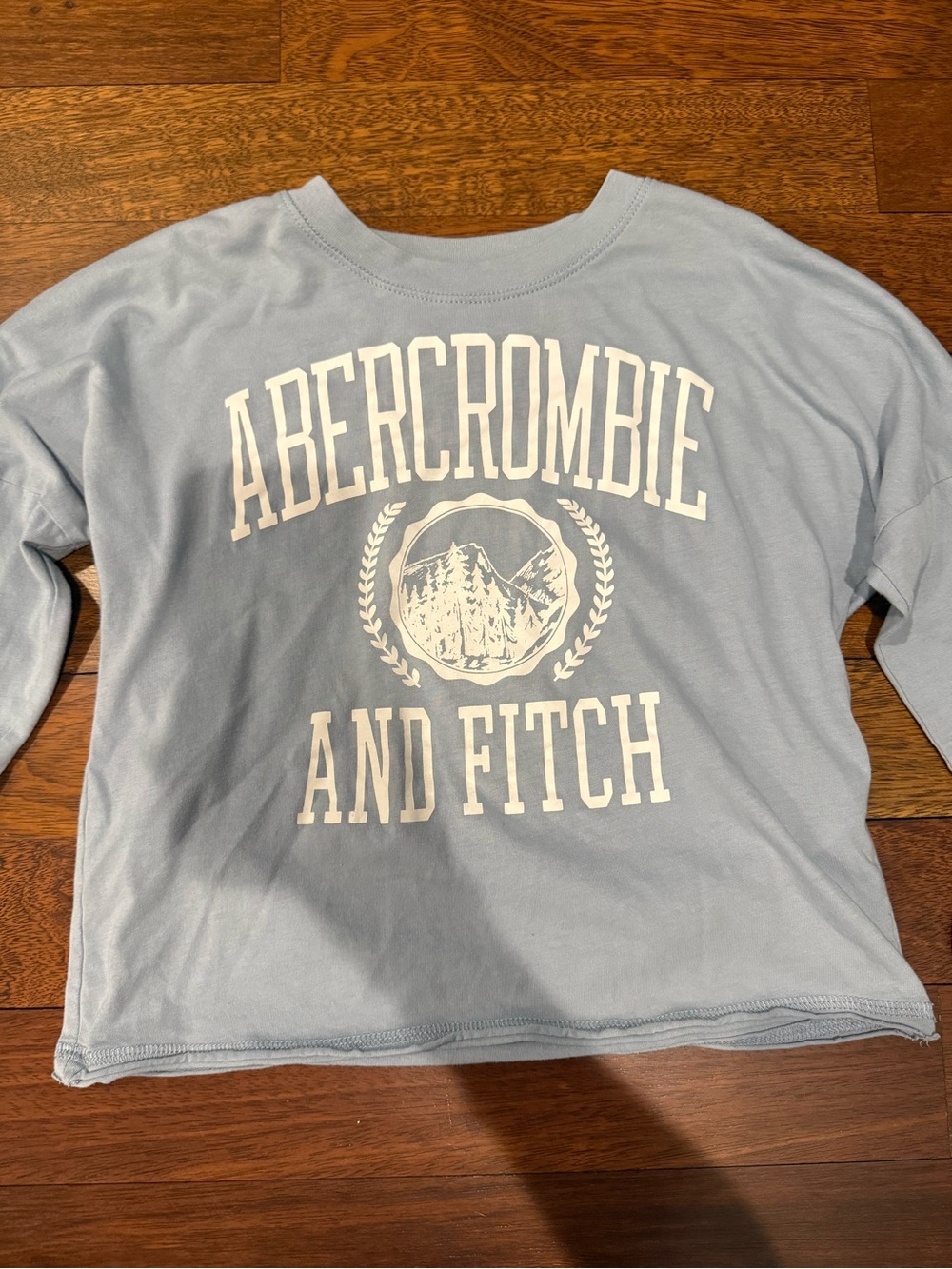 Abercrombie & Fitch Kids Light Blue Graphic Long-Sleeve Top Sz 7-8